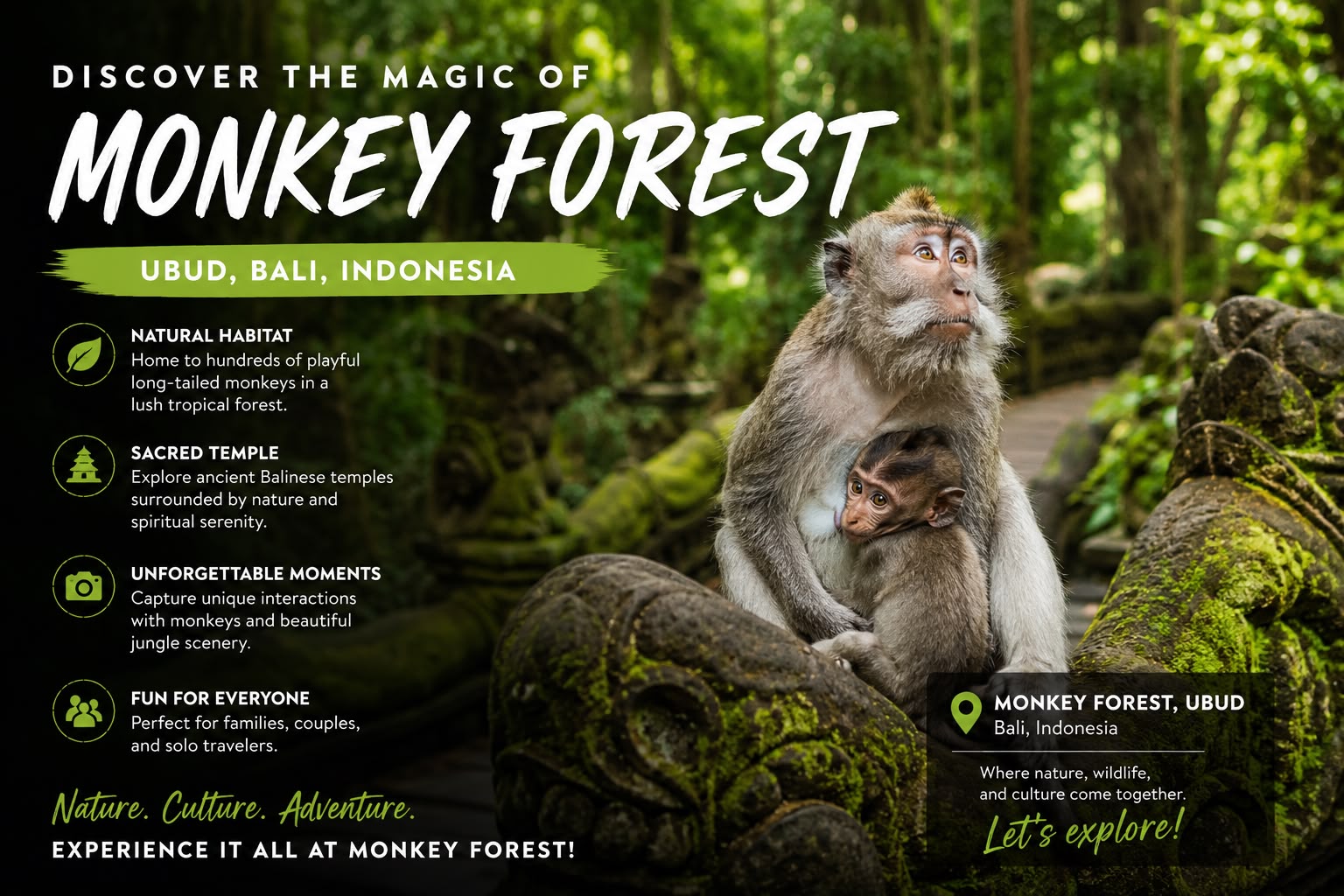 Monkey Forest, Bali