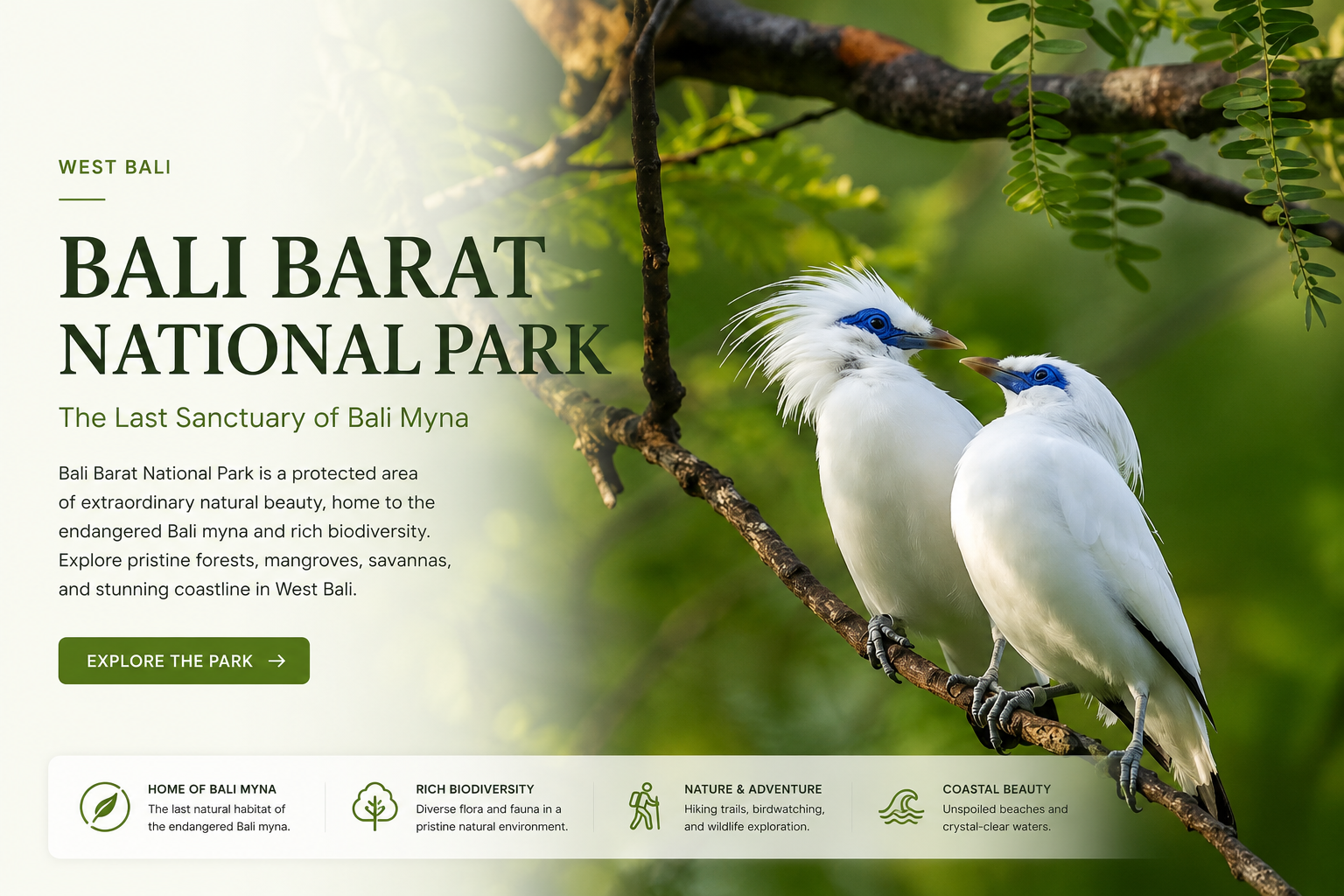West Bali National Park