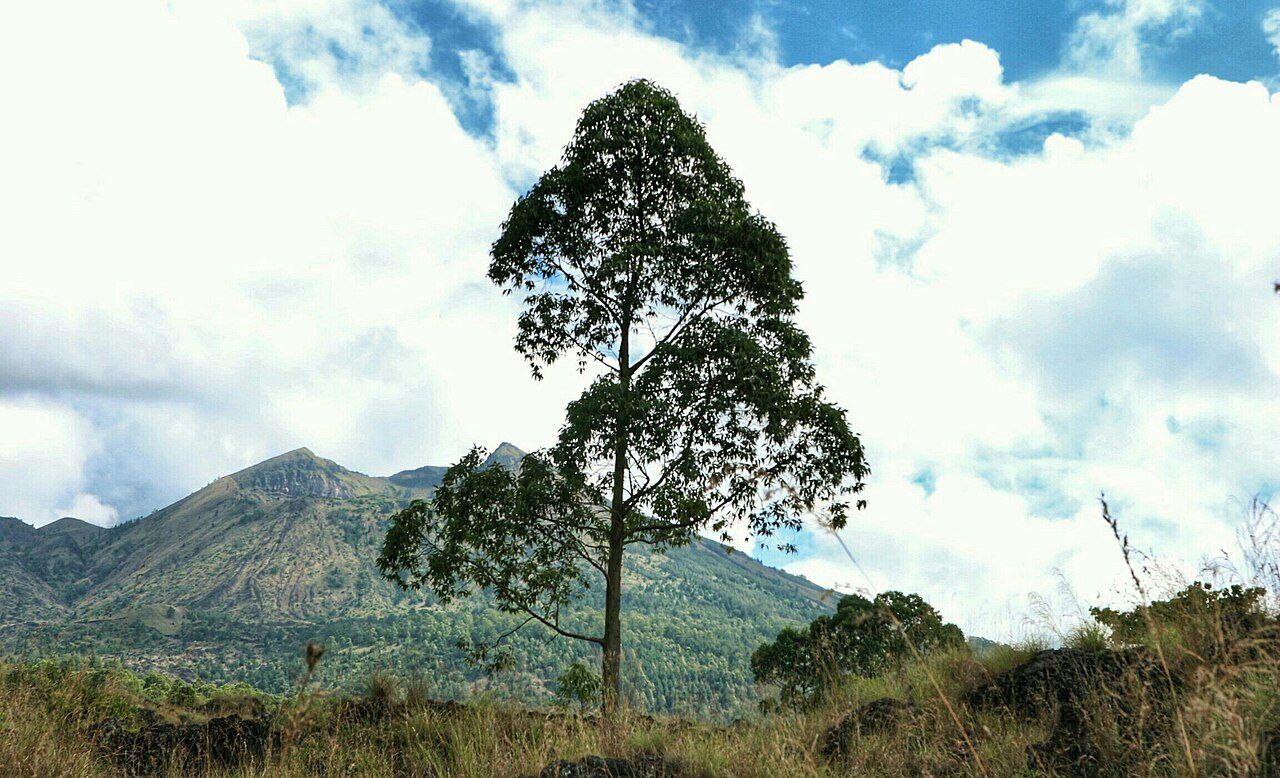 Mount Batur, Bali